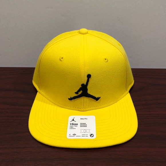 Jordan Nike Pro Hat 